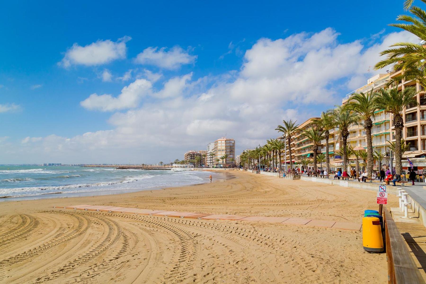 Alegria Id94 Leilighet Torrevieja Eksteriør bilde